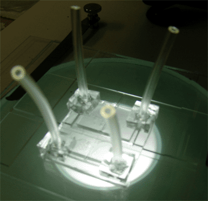 Imagen: Micro-inyector de microfluidos (Fotografía cortesía de la Universidad McMaster). Imagen: Micro-inyector de microfluidos (Fotografía cortesía de la Universidad McMaster).